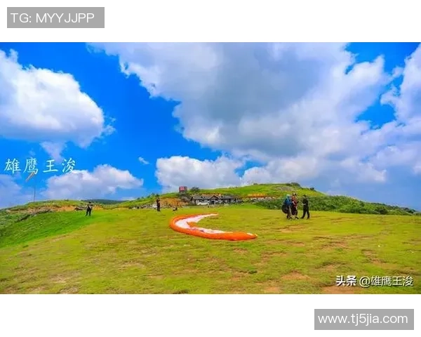 杭州极限运动队的力量争议引发热议运动员表现与训练方式的深度探讨 杭州极限运动队的力量争议引发热议运动员表现与训练方式的深度探讨