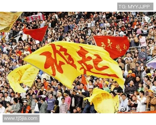 深圳足球队快攻革新之路：战术变革与未来展望