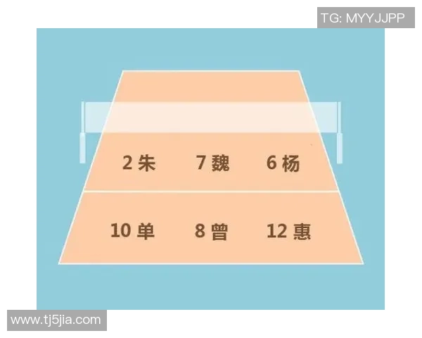 重庆排球队反击战术解析与未来发展展望